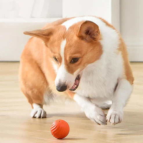 Pet Dog Rubber Ball Toys