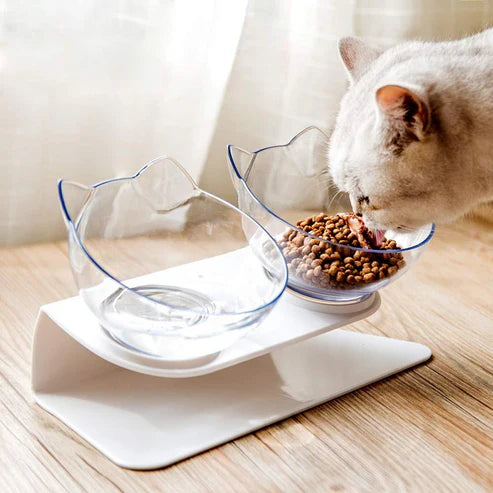 Double Pet Bowl